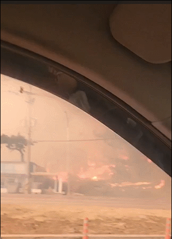 최영주씨가 지난 11일 화재가 발생했을 당시 찍은 영상/ 사진=최영주씨 제공
