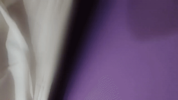   서울의 한 모텔에서 진드기와 빈대가 발견됐다는 한 투숙객의 주장이 제기됐다. /영상=보배드림