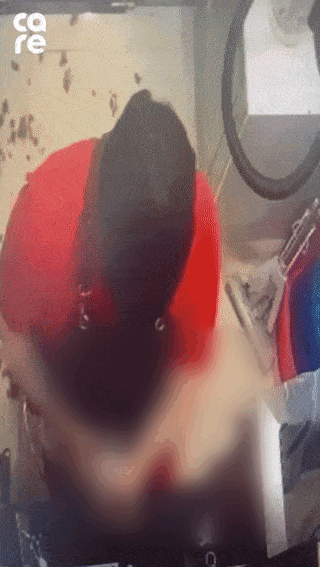 미용사가 개를 미용하다 목을 쥐어 트는것으로 의심되는 모습이 동물병원 CCTV에 포착됐다. /영상=동물단체 케어 인스타그램