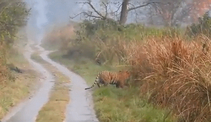 /사진=트위터 'Susanta Nanda'