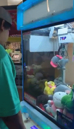 브라질에 있는 인형 뽑기 기계에서 인형 대신 살아있는 고양이가 나와 화제를 모았다. /영상=데일리메일