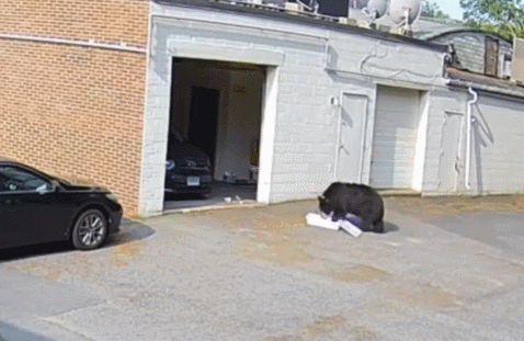 /사진=인스타그램 'tastebyspellbound'