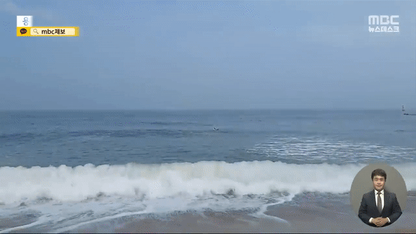 지난 9일 경북 영덕군 장사해수욕장에서 물놀이를 하던 중 파도에 휩쓸린 할머니와 손자를 구한 외국인 남성 4명 /영상=MBC