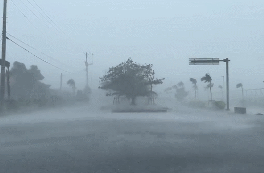 오키나와현 강타한 태풍 카눈 /영상=엑스(X·옛 트위터)