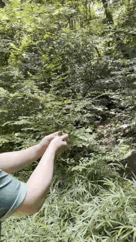 딱새와 마지막 인사 시간./사진=카페 SON 사장 조대원씨