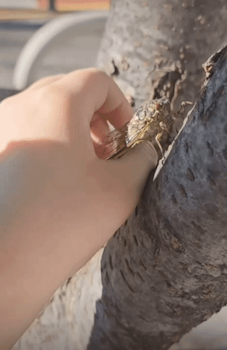 그리고, 너른 자연으로 다시 돌려보내주었다. 해피엔딩./사진='미미'를 보러 퇴근길에 한 번 더 가봤다는 현주씨.