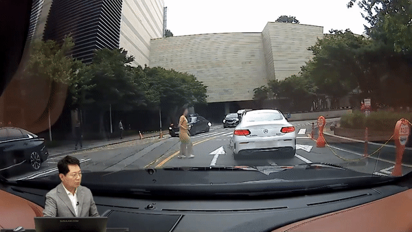 불법주차도 모자라 경적을 울린 상대 운전자에게 손가락 욕을 한 외제차 운전자가 비난을 받고 있다. /영상=유튜브 채널 '한문철 TV'