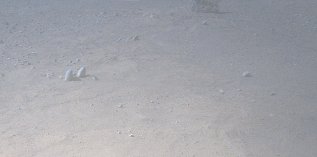 미국항공우주국(NASA) 초소형 헬리콥터 인저뉴어티(Ingenuity·독창성)가 화성 탐사로봇 '퍼서비어런스'(Perseverance·인내)를 촬영한 모습. / 사진=미국항공우주국(NASA)