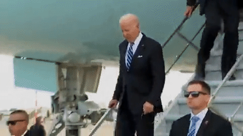 /영상=엑스(X, 옛 트위터)