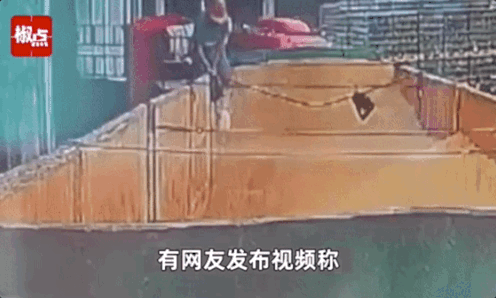 중국 대표 맥주 칭다오 맥주 생산공장의 원료 창고로 추정되는 곳에 한 직원이 소변을 보는 듯한 모습. /영상=웨이보 갈무리 