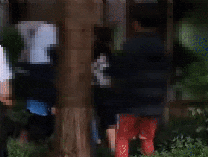 A씨가 B씨 남편에게 주먹을 휘두르고 있는 모습. /사진=온라인 커뮤니티