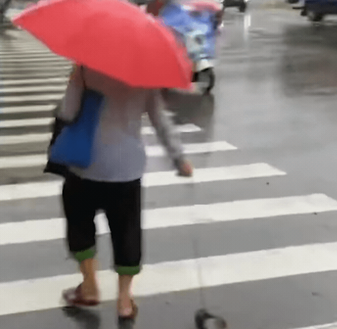 /영상=데일리메일 페이스북