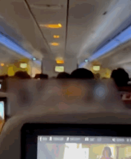 지난 11월 24일 러시아 캄차카 반도에서 모스크바로 향하던 여객기가 강한 난기류를 만나 심하게 흔들리고 있다. /영상=데일리메일