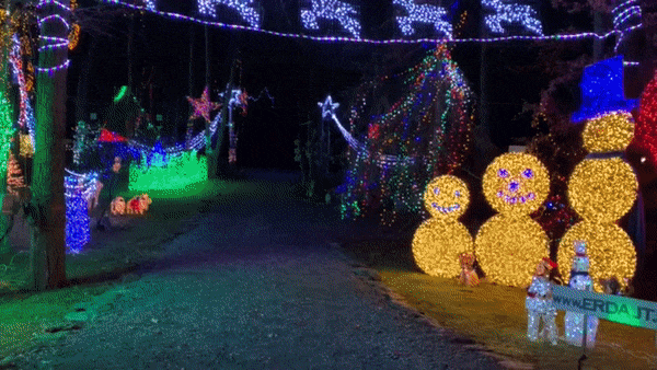 ERDAJT 크리스마스 전등/사진=페이스북 갈무리