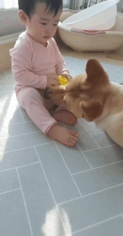 소은님 딸 아이랑도 이리 잘 지내는 홍삼이. 어찌나 의젓하고 착하고 순한지./사진=홍삼이 보호자님