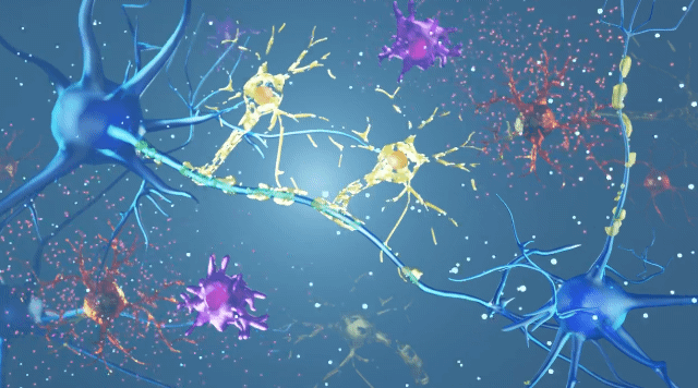 한국생명공학연구원이 개발한 '유전성 하지 강직성 대마비 증후군'(HSP)에 대한 유전자치료제를 주사한 생쥐가 걷고 있는 모습. / 영상=한국생명공학연구원