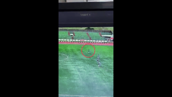 /영상=X(옛 트위터)