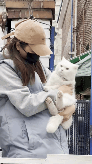 할아버지와 가까운 곳에서, 둘을 섬세하게 돌봐주었던 장신재 정글핌피, 핌피바이러스 대표. 임시보호를 알리기 위해 애쓰고 있다. 고양이는 할아버지와 함께 사는 행복이./사진=이규상 트레이너