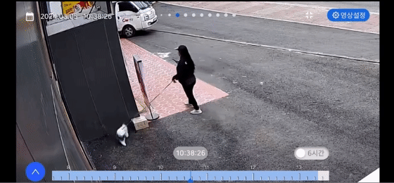 /영상='아프니까 사장이다' 커뮤니티