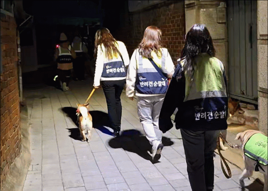 21일 오후 반려견 순찰대원들이 서울 영등포구 인적이 드문 골목길 위주로 순찰 활동을 하고 있다. /영상=김지은 기자