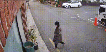 부산 수영구 광안동의 한 카페에서 문밖에 내놓은 행운목이 행인에 의해 훼손된 사건이 발생했다. /사진=카페 사장 인스타그램 캡처 