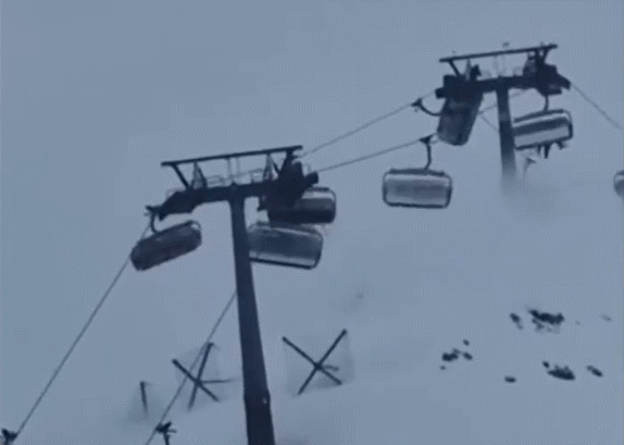 /사진=SNS(소셜네트워크서비스)