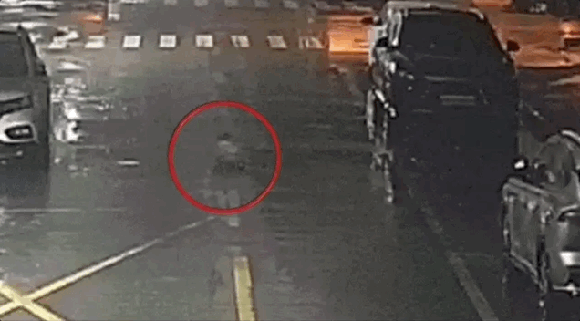 중국에서 생후 6개월 된 아기가 홀로 집을 빠져나와 밤거리를 기어다니는 일이 발생했다. /영상=신경보