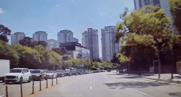 서울 한복판을 지나는 차량의 블랙박스에 새끼 사슴으로 추정되는 동물이 포착됐다. /영상=온라인 커뮤니티 '보배드림'