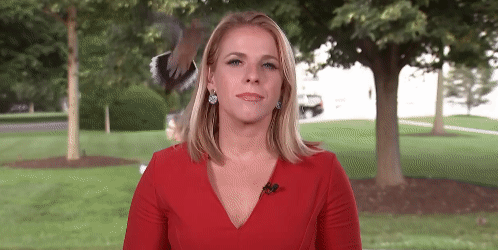 지난 5일(현지 시간) 미국 백악관 인근에서 생방송을 준비하던 여성 기자를 한 새가 습격하고 있다. /영상=SNS(소셜네트워크서비스)