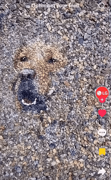 작은 돌멩이들로 대형견 그림을 그리는 영상./사진=LG 플레이리스트 '소셜미디어, 미소로 채우다(Optimism your feed)' 중