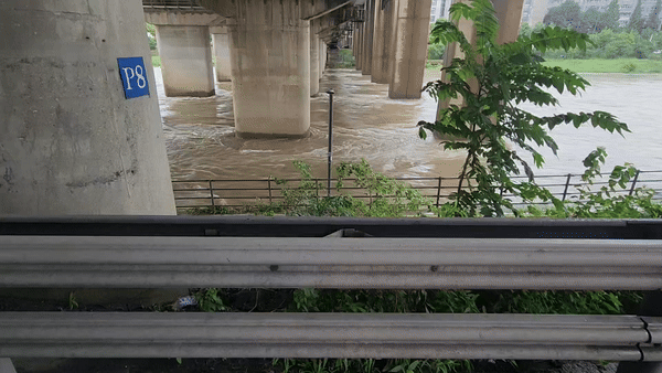 서울 성동구 용비교 아래로 중랑천이 빠르게 흐르고 있다. 몇 년 전 장마기간 중랑천의 수위가 급격히 올라가면서 가드레일 바로 직전 화단까지 물이 찼다./영상=최지은 기자