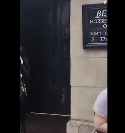 영국 근위대 기병대 소속 말이 함께 사진을 찍기 위해 가까이 다가온 관광객을 무는 모습./영상=엑스