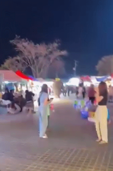 태국 한 행사에서 불꽃놀이 소리에 놀란 코끼리가 사람들을 공격하는 일이 발생했다. /영상=SNS 갈무리