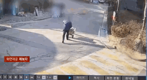 /영상=JTBC '사건반장'