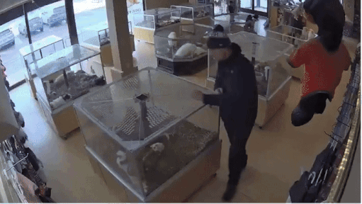 /영상=X 'ArapahoeSO'