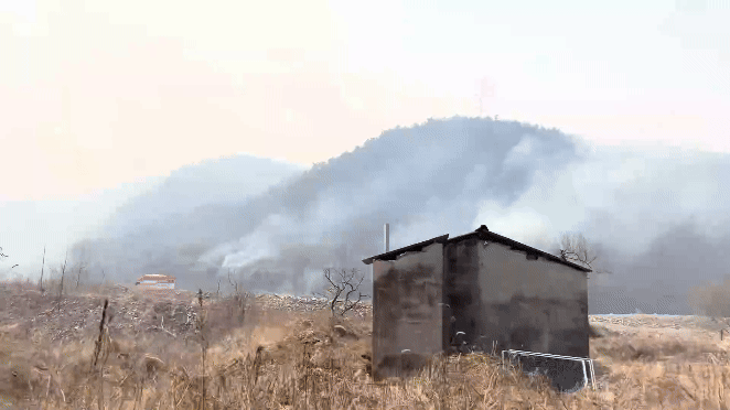25일 경북 의성군의 한 산에서 화재 연기가 피어오르는 모습./영상=민수정 기자.