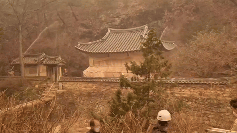 안동 길안면의 정자 만휴정에서 방염포를 씌우고 물을 뿌리는 등 사전 방화조치를 하고 있는 모습. /영상 = 국가유산청 제공