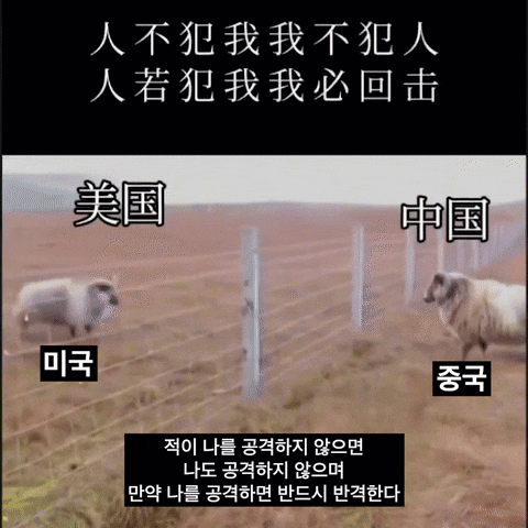 다이빙 중한중국대사가 지난 11일 SNS(소셜미디어)에 미국 트럼프 2기 행정부의 상호관계 90일 유예 결정에 대한 글과 함께 '미국'으로 표기된 양이 '중국'으로 표기된 양에게 돌진해 들이받았다가 물러나는 영상을 게재했다. / 사진=엑스(X·옛 트위터)