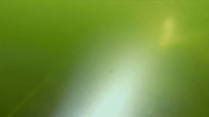 23일 오전 서울 영등포구 마포대교 인근에서 열린 한강버스 수난사고 대비 민관합동 현장 대응훈련에서 소방 구조대가 수중 실족자를 찾는 훈련을 하고 있다. /영상=서울시 119특수구조단 수난구조대