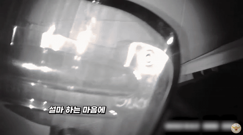 경찰이 쓰레기통 안에 숨은 음주운전자를 찾아 검거하는 모습이 담긴 영상을 공개했다. /사진=대한민국 경찰청 유튜브 캡처 
