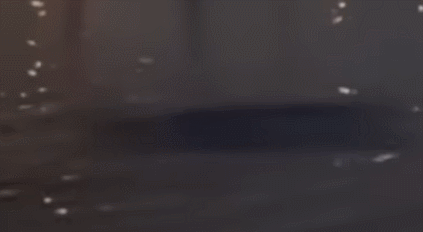 /사진=JTBC '사건반장' 