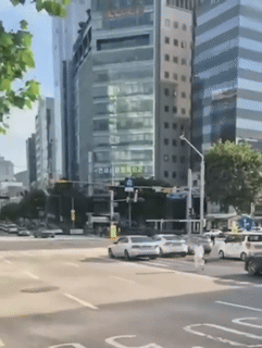 서울 도심 한복판에서 차량들과 함께 좌회전 신호를 기다리다 함께 이동하는 여성의 모습이 포착됐다./영상=온라인 커뮤니티