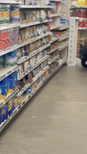 흑곰 한 마리가 한 할인 마트에서 어슬렁거리고 있다. /영상=지역 부동산 중개인 숀 F. 클라킨 페이스북