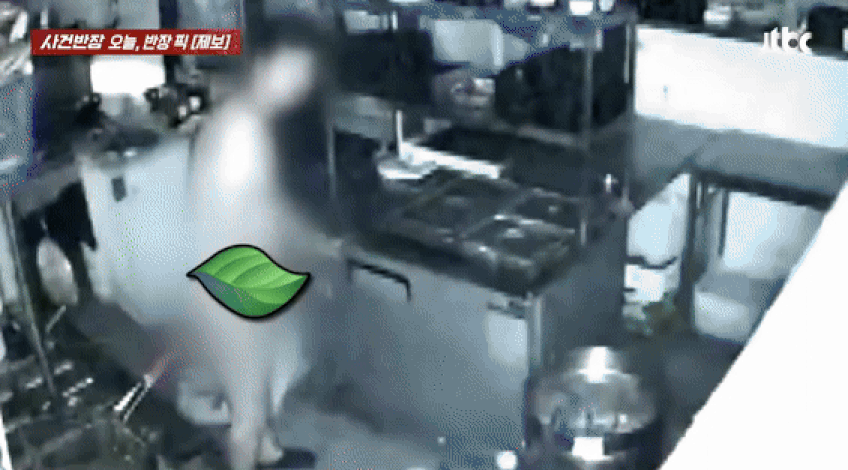 새벽 시간 고깃집에 몰래 침입해 식자재를 훔쳐 달아난 '알몸 남성' 영상이 공개돼 논란이다. /사진=JTBC '사건반장' 캡처