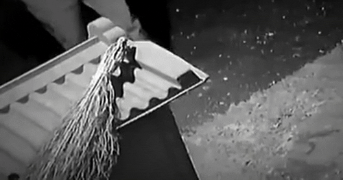 반갑다고 꼬리 흔드는 개를 마구잡이로 공격한 남성의 모습이 포착됐다. /사진=JTBC '사건반장' 방송 화면