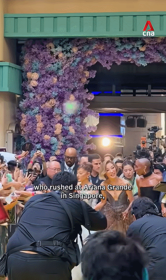 아리아나 그란데에게 달려든 존슨 웬이 싱가포르 법원에서 징역 9일을 선고받았다. /영상=CNA 홈페이지 갈무리 