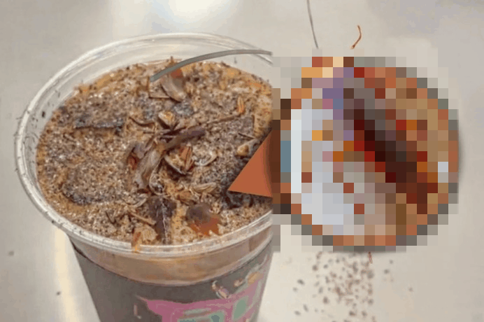 중국 베이징의 한 곤충 박물관 카페에서 '바퀴벌레 넣은 커피'를 선보여 화제다. 이 커피에는 갈아낸 바퀴벌레 가루가 들어가는 것으로 전해졌다. /사진=홍콩 사우스차이나모닝포스트(SCMP) 갈무리