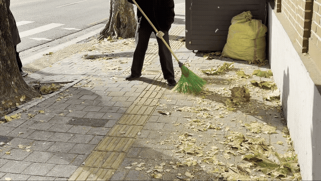21일 오후 서울 마포구 마포대로 인근 도로에서 기자가 낙엽 청소를 해봤다./영상=민수정 기자.