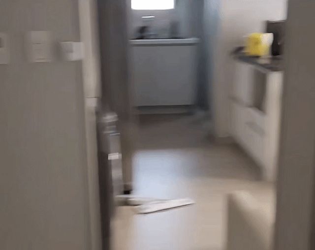 대구 지역에서 1만2000%의 '살인적인 이자율'을 적용하며 협박성 추심을 이어간 불법 대부업체가 경찰에 붙잡혔다. 이들은 고교 선후배 사이로 드러났다. /영상제공=영등포경찰서.