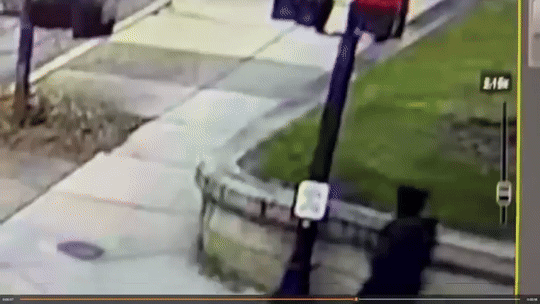 미국 현지 경찰이 공개한 브라운대 총격 사건 용의자의 모습 /사진=미국 프로비던스 경찰 X 